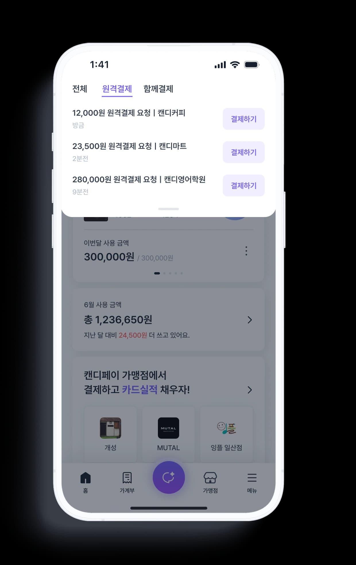 Remote Pay Mockup